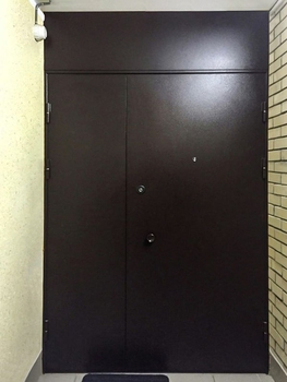 Двупольная дверь с порошковым напылением 111