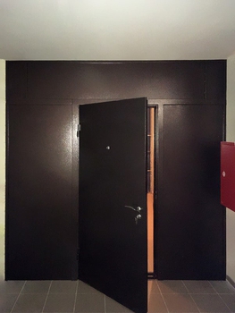 Однопольная дверь с порошковым напылением 113