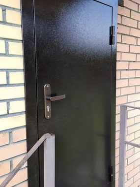 Входная порошковая дверь