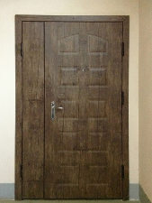 Полуторопольная МДФ дверь